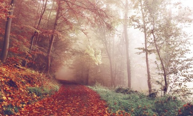 7 tips tegen een herfstdip