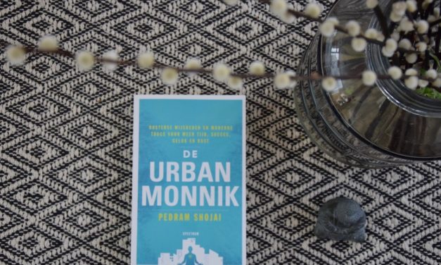 Wat ik leerde van de Urban Monnik