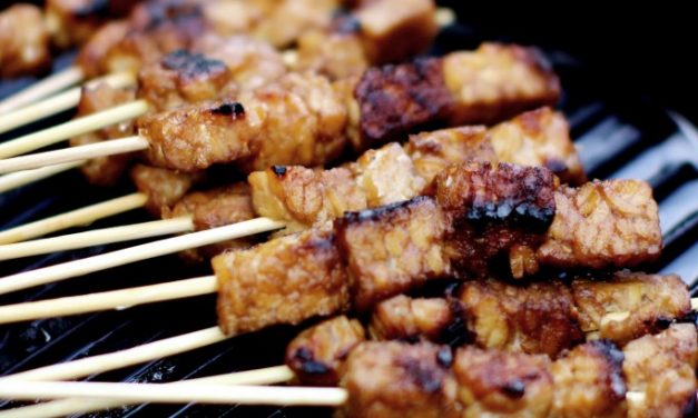 Tempé saté uit het boek Vegan Smaaksouvenirs