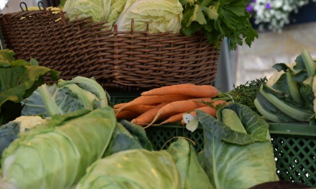 Hoe zorg je voor voldoende eiwitten als je plantaardig (veganistisch) eet