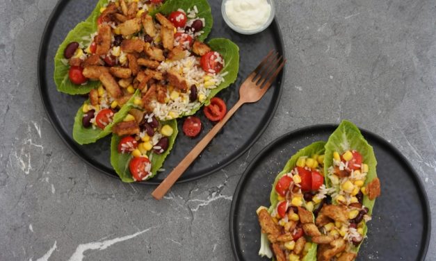 Slawraps met vega kip