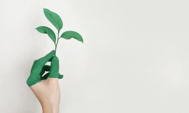 Overstappen op groene stroom en gas