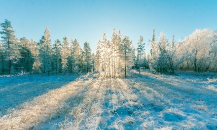 Skip de winterdip! Tips die je kunnen helpen