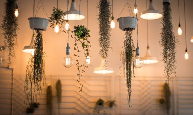 Je woning duurzaam inrichten doe je met deze 4 tips