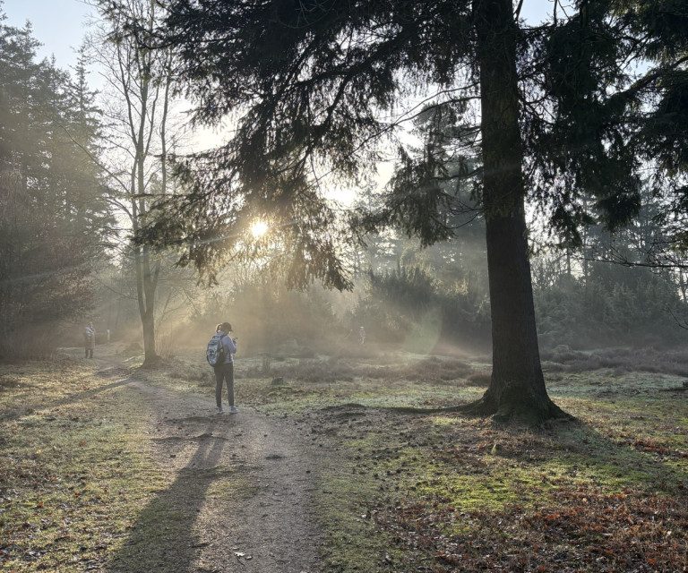 Waarom vaker naar buiten gaan gezond voor je is