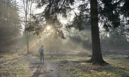 6 tips voor minder schermtijd